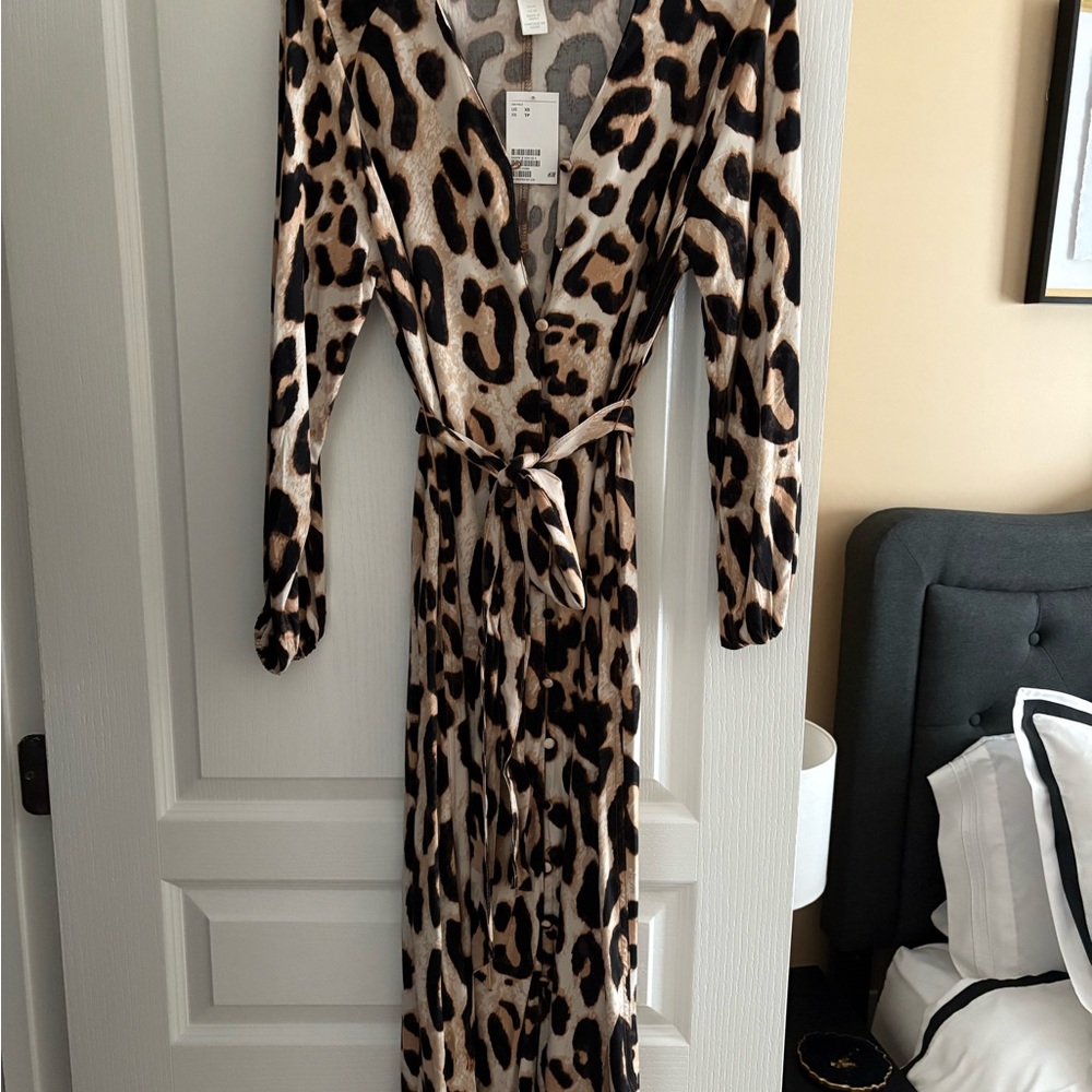 H&M Leopard Print Maxi Dress